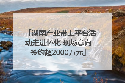 湖南产业带上平台活动走进怀化 现场意向签约超2000万元